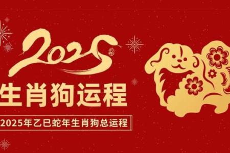 属狗的2026年适合结婚的日子 生肖属狗2026年3月结婚黄道吉日一览表