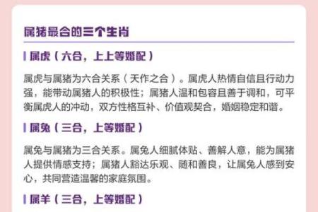 2026年属猪入宅黄道吉日 生肖属猪2026年3月入宅黄道吉日一览表