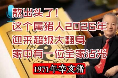 生肖属猪2026年3月1日运势指 生肖属猪2026年3月开火最吉利的日子有哪些
