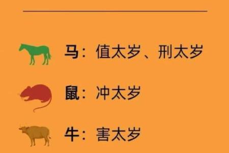 生肖属马2026年3月适合领证的日子 生肖属马2026年3月手术最旺吉日老黄历
