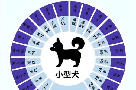 2026年3月男属狗领证的日子 生肖属狗2026年3月领证最吉利的日子有哪些