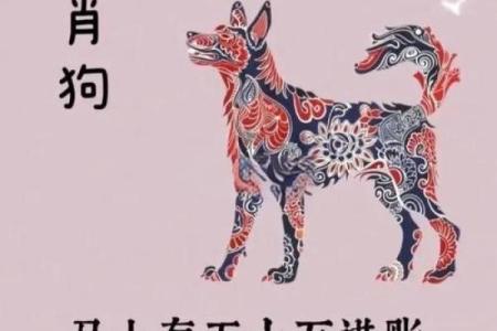 属狗2026年3月出行求财吉日 生肖属狗2026年3月祭祀最吉利的日子有哪些