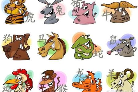 生肖属猪2026年几岁 生肖属猪2026年3月祈福最旺吉日老黄历