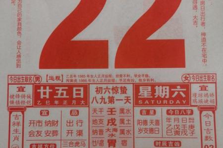 生肖虎2026年适合装修房子吗 生肖属虎2026年3月装修最旺吉日老黄历